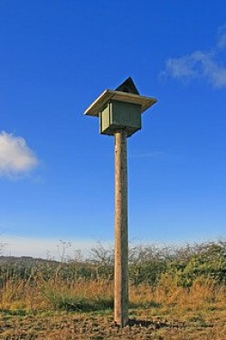 Barn Owl Pole Nest Box