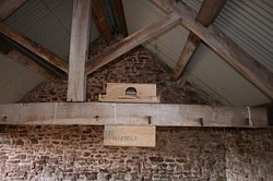 Barn Owl Indoor Nest Box
