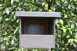 Kestrel Nest Box