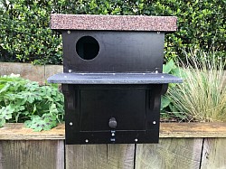 Little Owl Nest Box